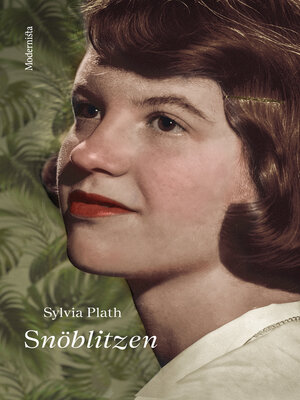 cover image of Snöblitzen